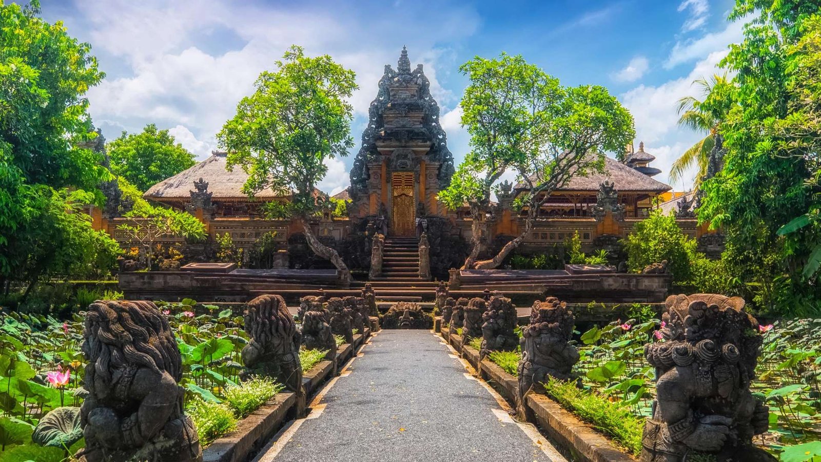 Bali Bliss