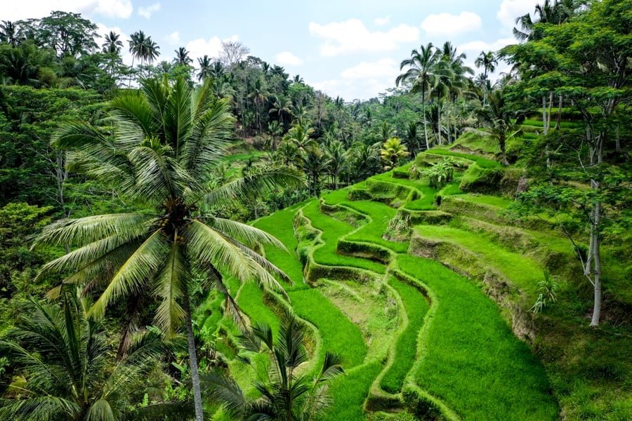 Bali Discovery