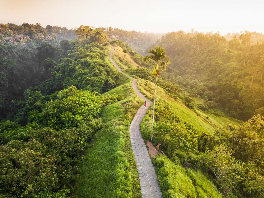 Bali Wellness Retreat
