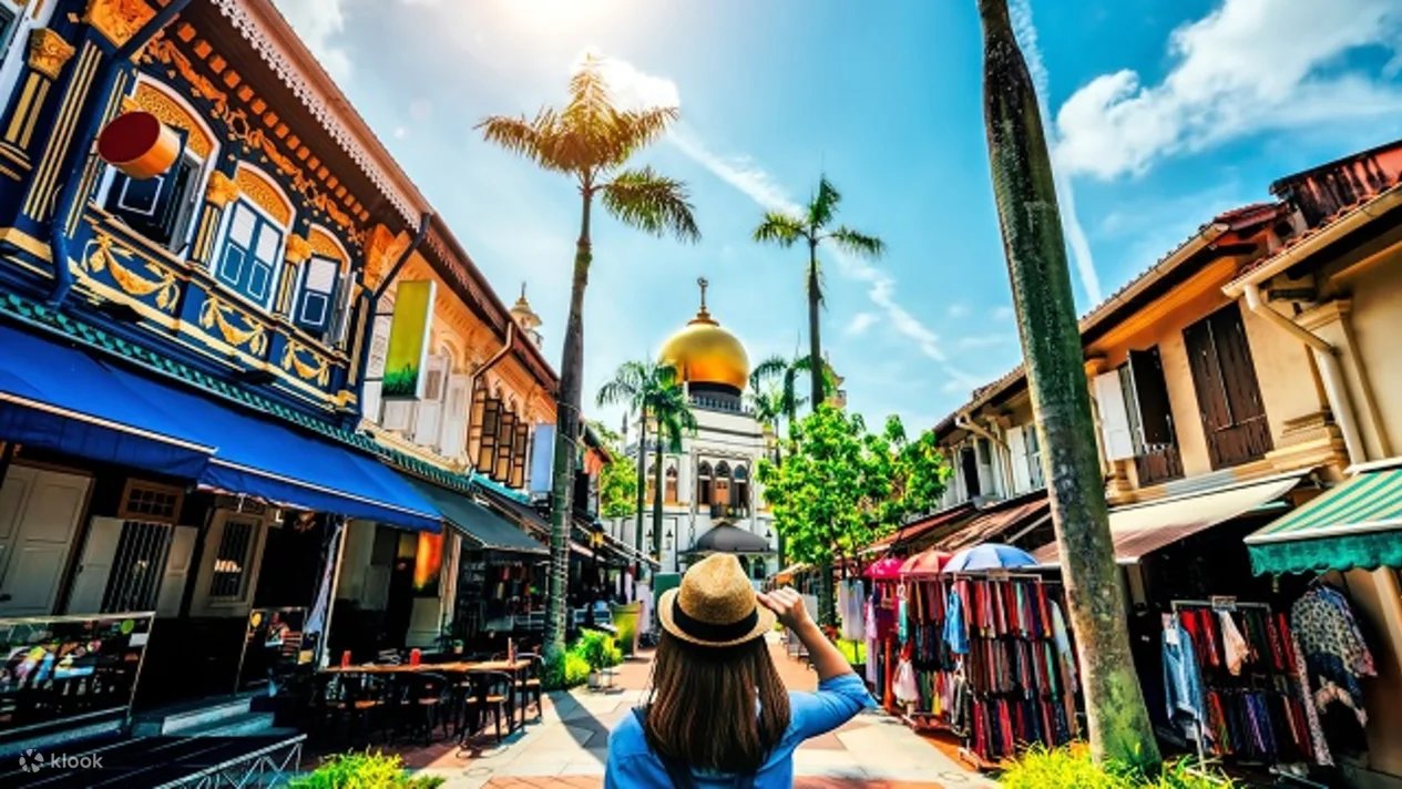 Singapore Cultural Experience